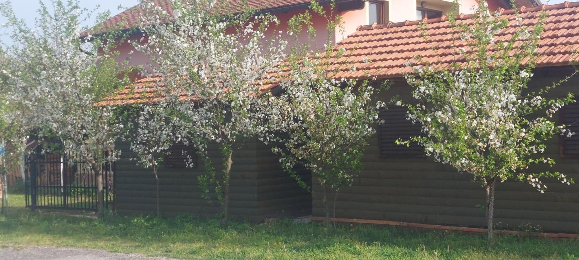 Kod Ane Apartment Belavici ภายนอก รูปภาพ