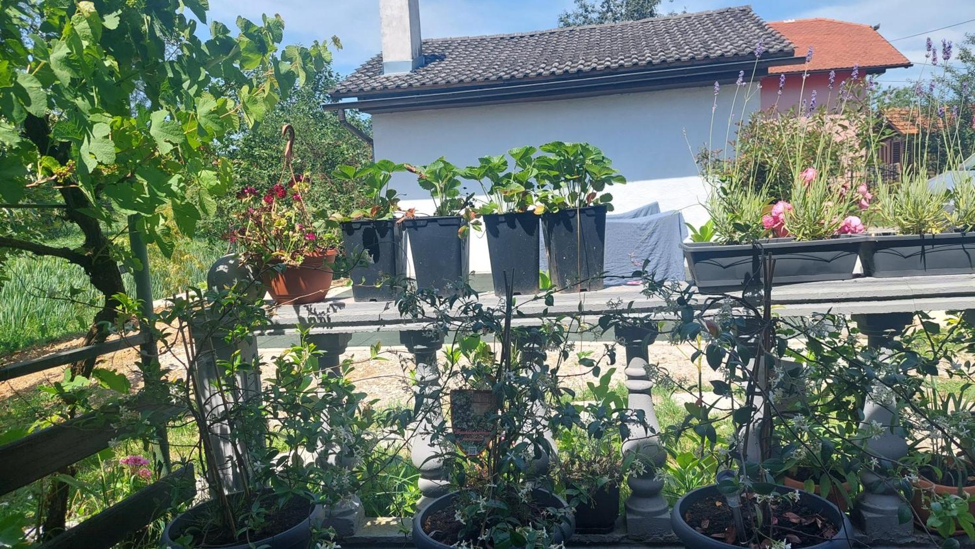Kod Ane Apartment Belavici ภายนอก รูปภาพ